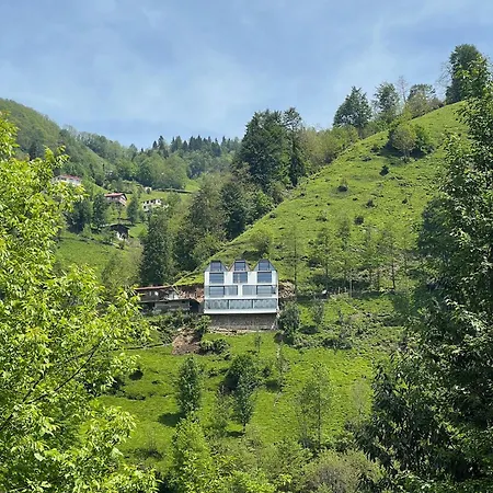 Ena